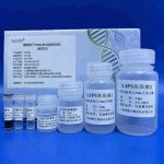 New Plant Seed DNA/RNA Extraction Kit Released dna isolation from e coli缩略图